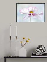 Cosmos Poster och Canvastavla