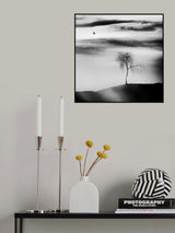 the visitor Poster och Canvastavla