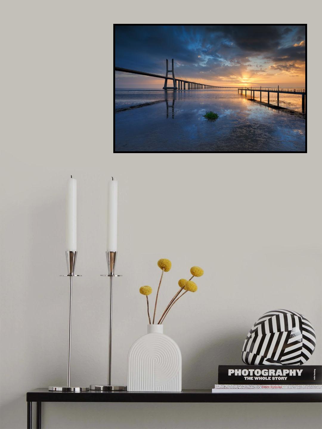 P H Y S I C A L Poster och Canvastavla