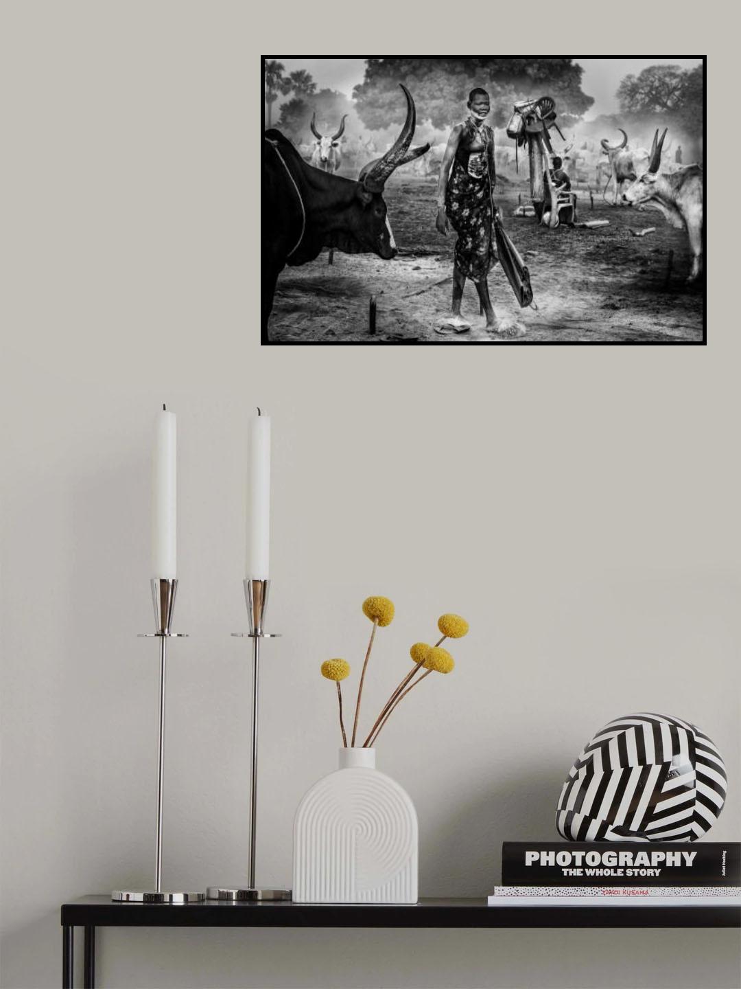 A scene of life in a mundari cattle camp. Poster och Canvastavla