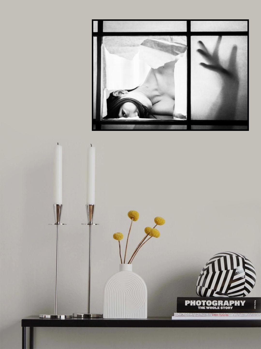 the shade  in the unseen Poster och Canvastavla