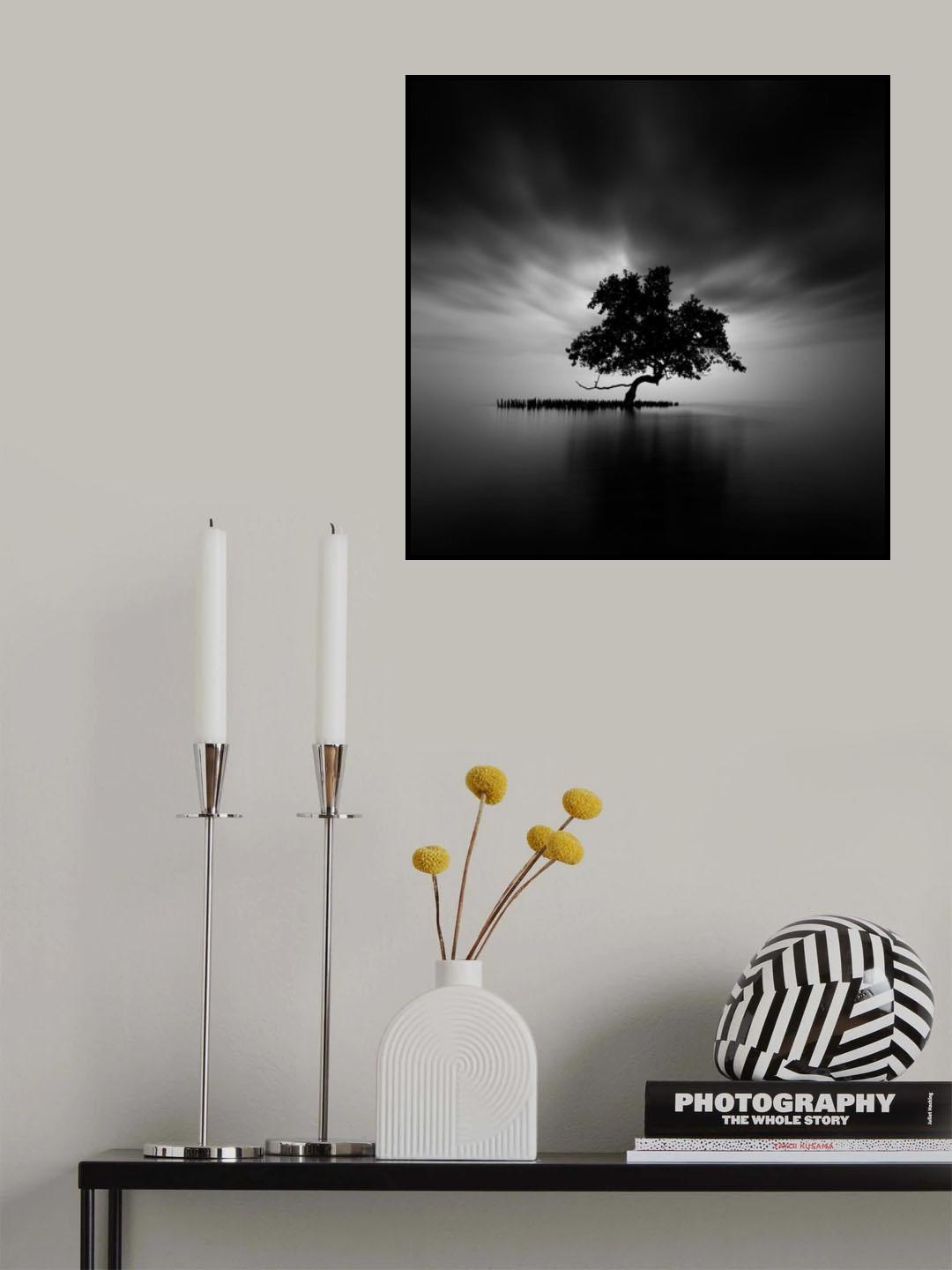 Back Light Poster och Canvastavla