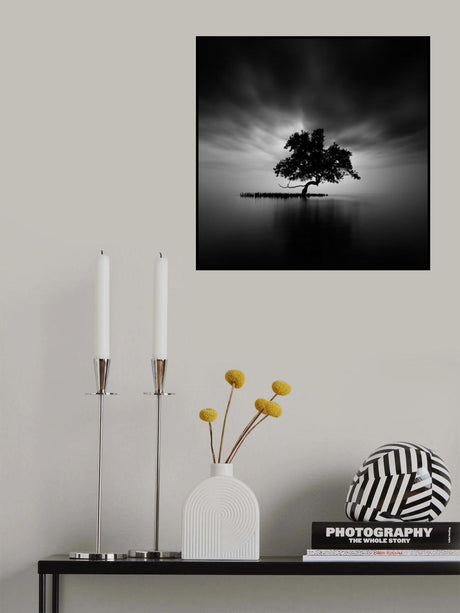 Back Light Poster och Canvastavla