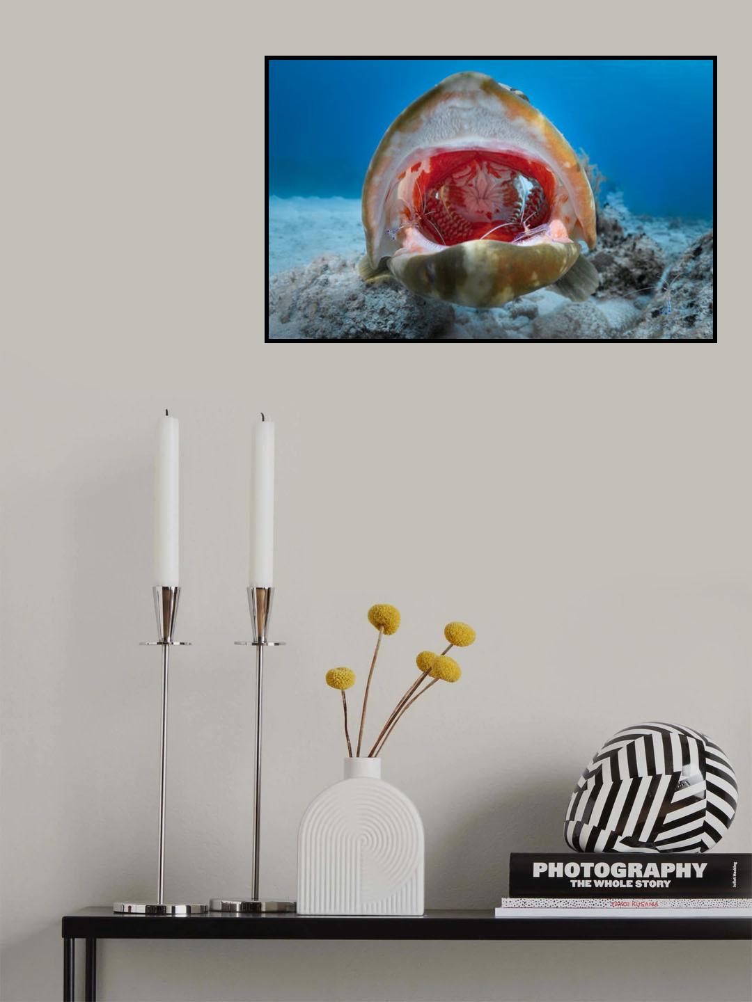 Cleaning Poster och Canvastavla