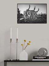 irrigation Poster och Canvastavla