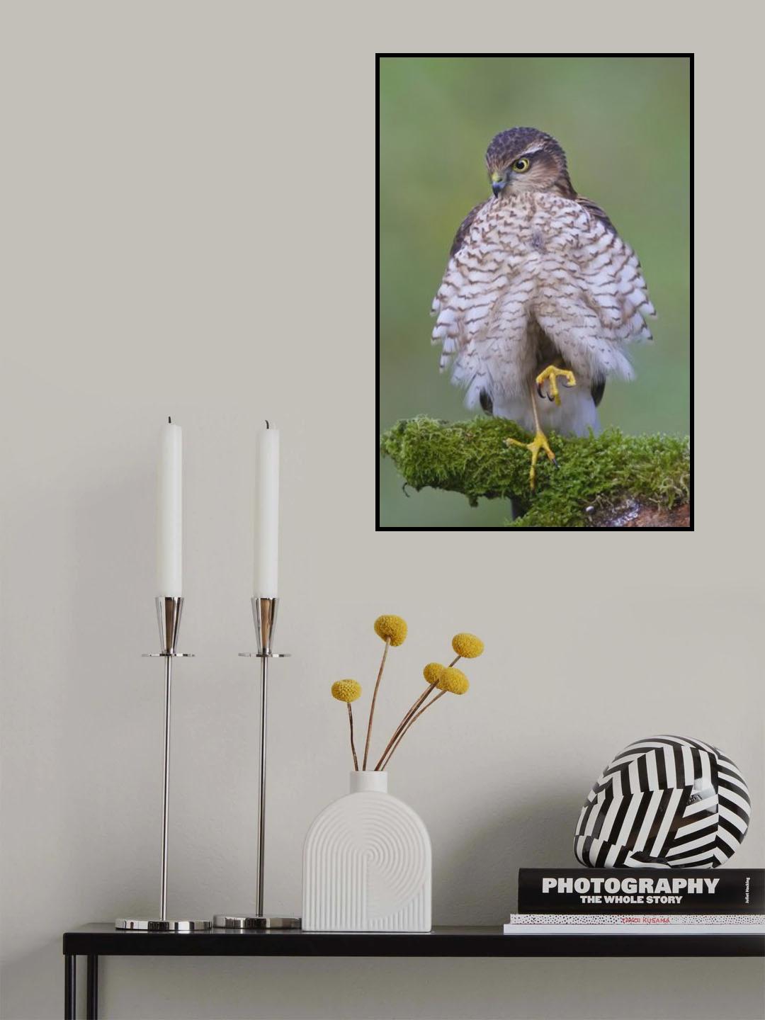 Relaxed Poster och Canvastavla