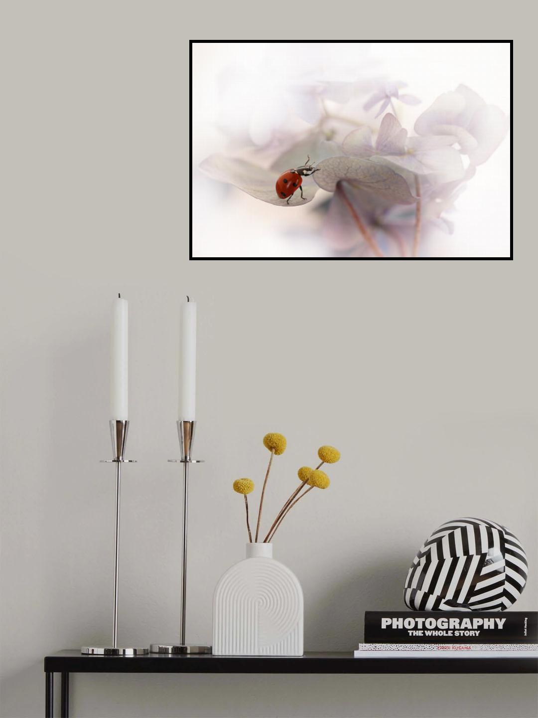 Exercise Poster och Canvastavla