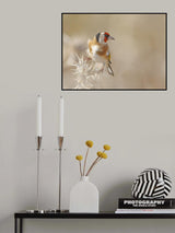 Goldfinch - Profile Poster och Canvastavla