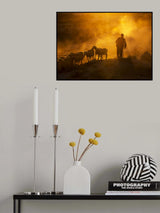 sheep flock Poster och Canvastavla