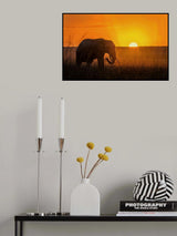 Good morning Poster och Canvastavla
