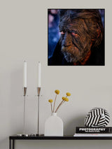 N.F. Poster och Canvastavla