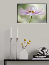 Cosmos Cloud Poster och Canvastavla