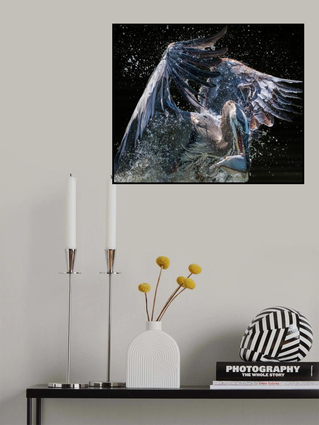 Fresh out of Water Poster och Canvastavla