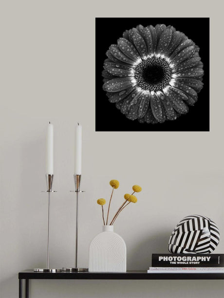 Floral Drops Poster och Canvastavla