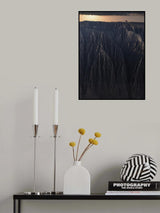大峡谷 Poster och Canvastavla