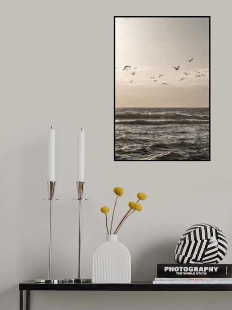 Birds and the Sea 3 Poster och Canvastavla