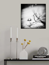 lonesome together Poster och Canvastavla