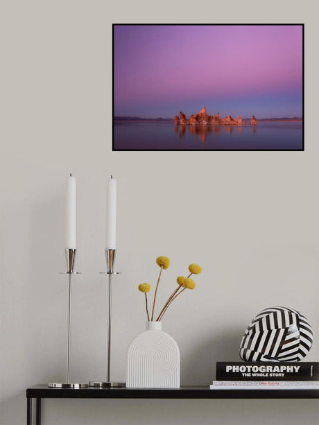 Silence Poster och Canvastavla