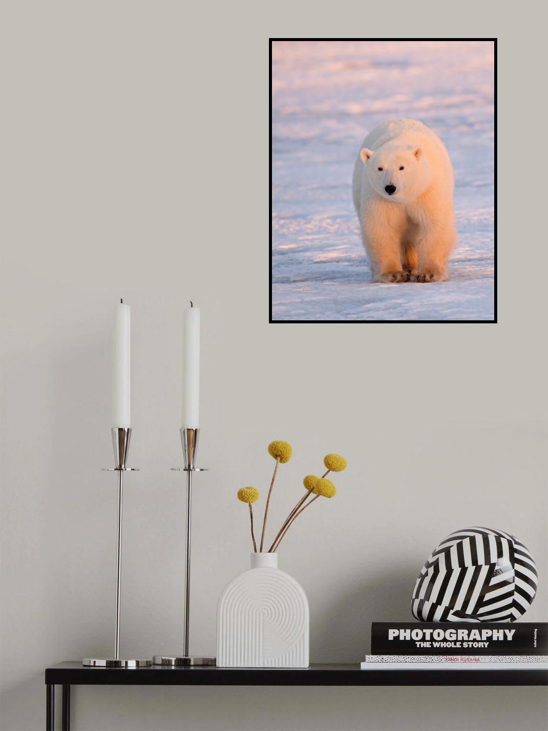 Pink light Poster och Canvastavla