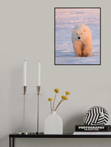 Pink light Poster och Canvastavla
