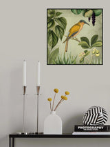 Vintage Birds 2 Poster och Canvastavla