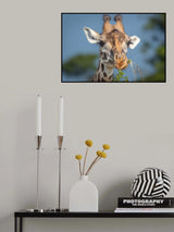 Yeah I am a giraffe - so what Poster och Canvastavla