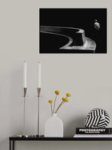 Poster och Canvastavla