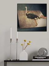 Unfinish  works Poster och Canvastavla