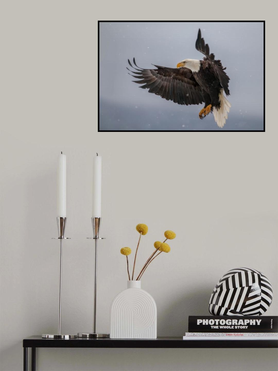 Eagle &amp; Snowflakes Poster och Canvastavla