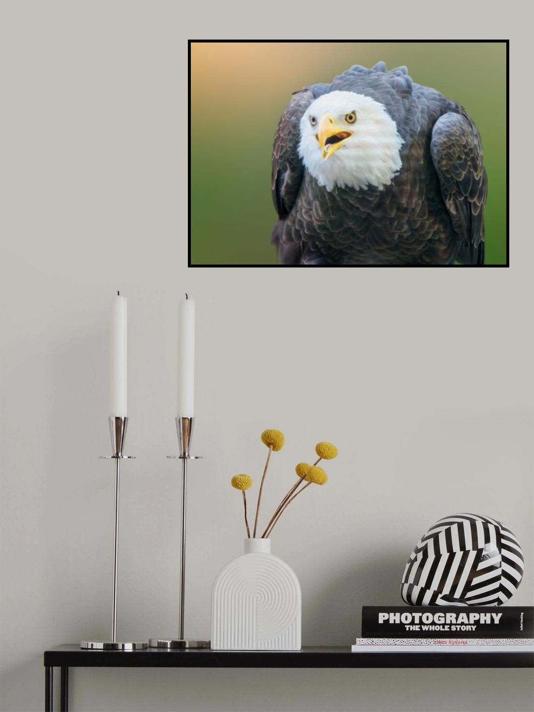 Are you kidding? Poster och Canvastavla