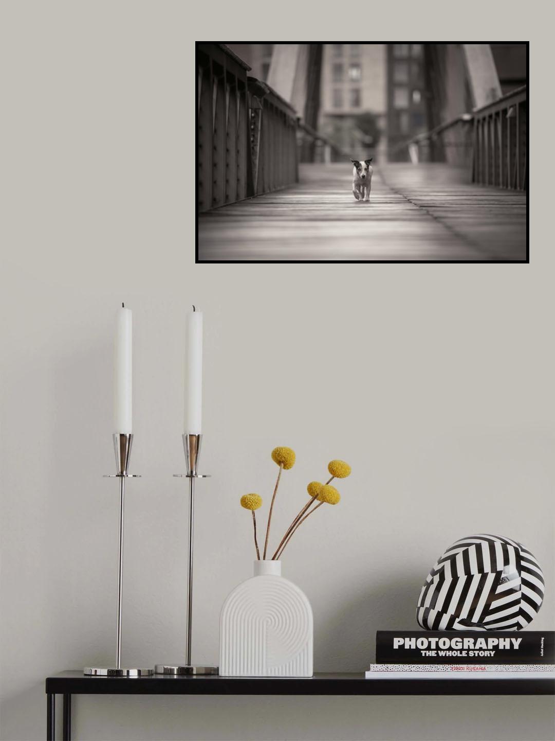 You can go your own way... Poster och Canvastavla