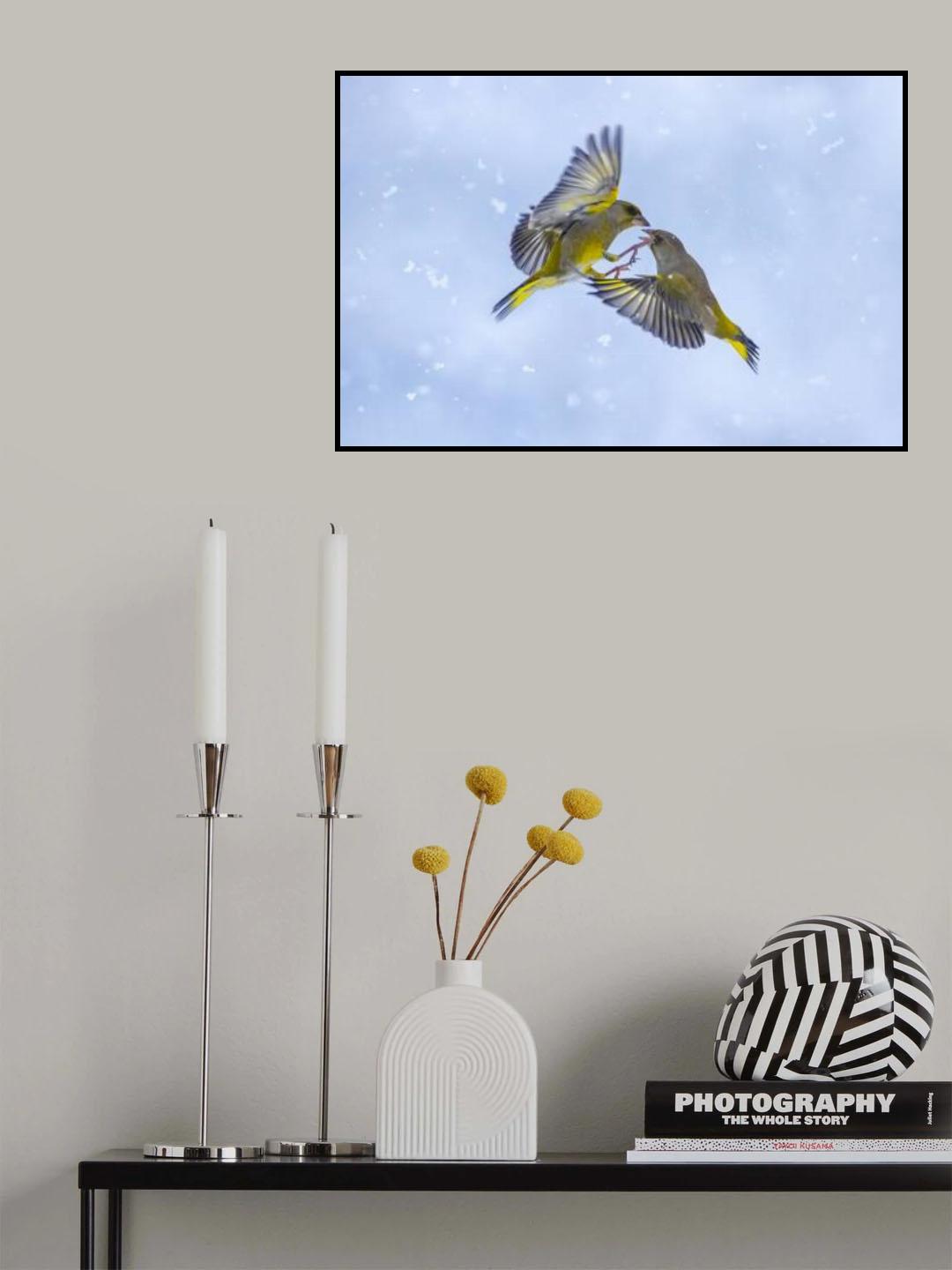 Battle in the snow Poster och Canvastavla