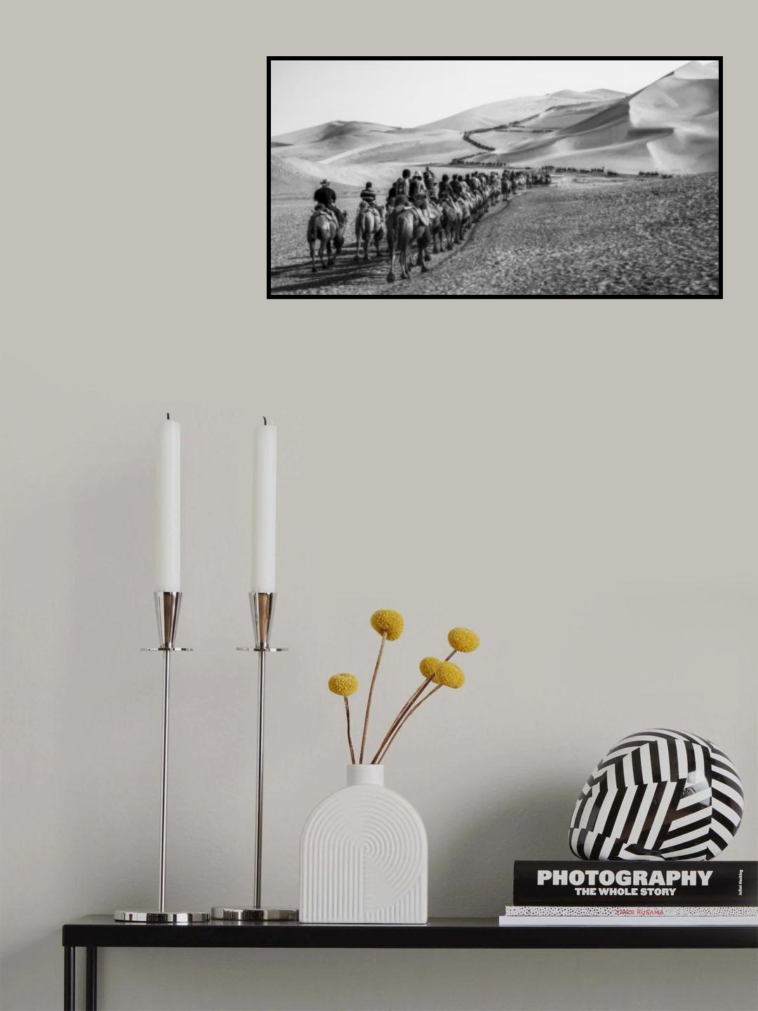 camel team Poster och Canvastavla