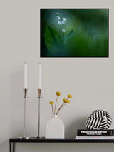 Lilly of the Valley Poster och Canvastavla