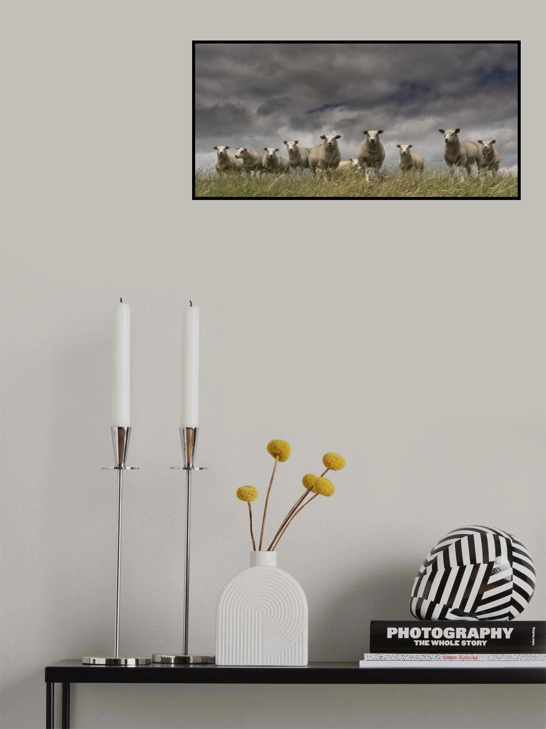 We come in peace Poster och Canvastavla
