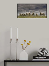 We come in peace Poster och Canvastavla