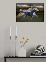 Trio Poster och Canvastavla