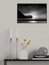 Twins Poster och Canvastavla