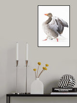 CATWALK Poster och Canvastavla