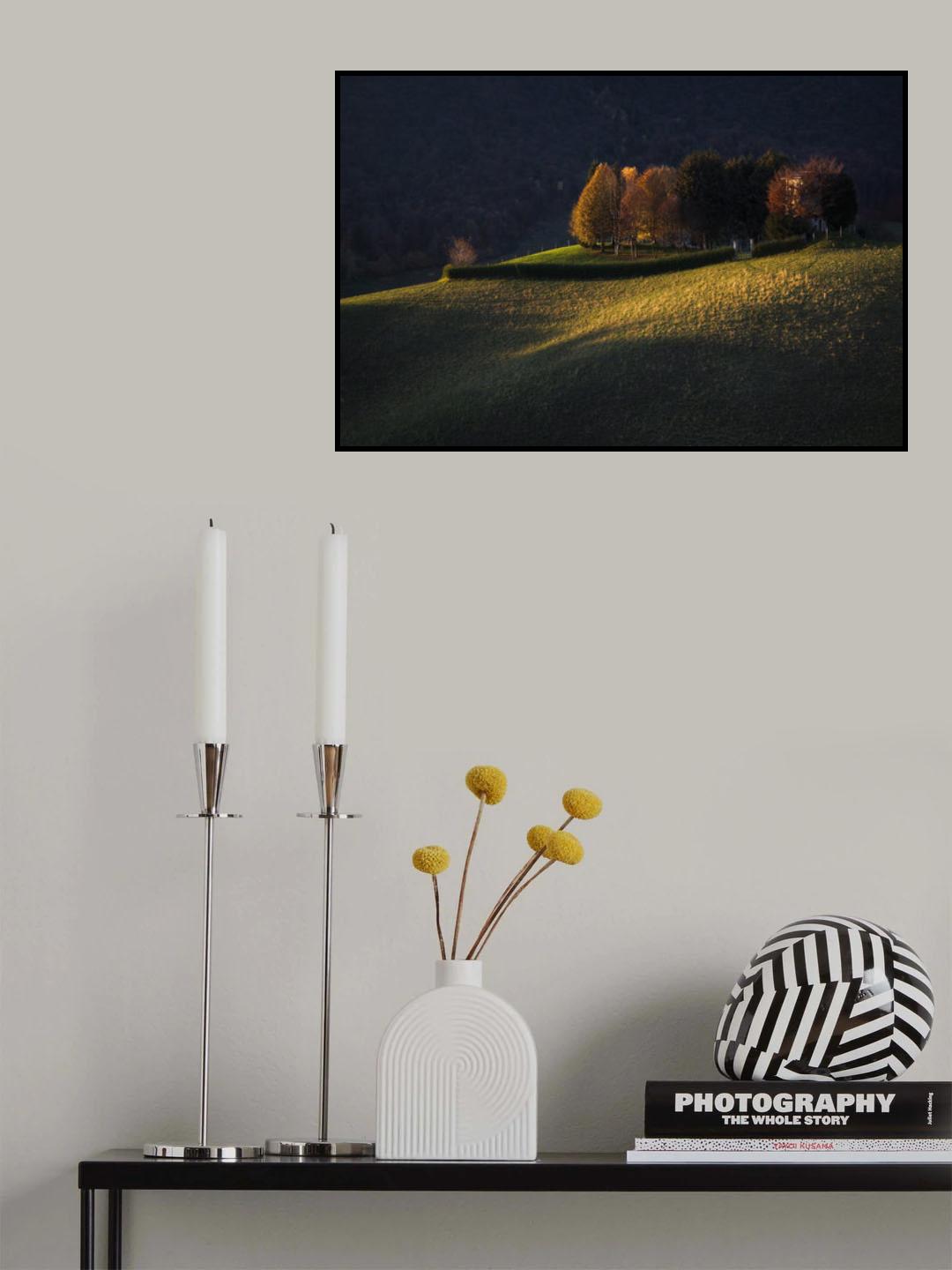 Autumnal light Poster och Canvastavla