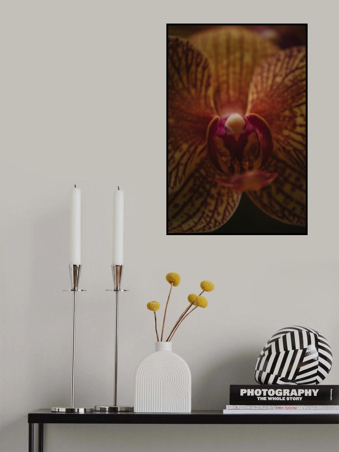 Botanical Series - Orchid Up Close &amp; Personal Poster och Canvastavla