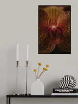 Botanical Series - Orchid Up Close &amp; Personal Poster och Canvastavla