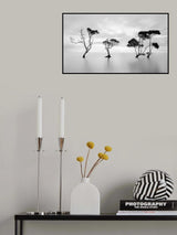 Drowning Not Waving Poster och Canvastavla
