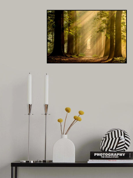 Jacobs ladders Poster och Canvastavla