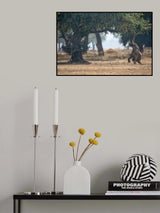 Mana Pools Secret Poster och Canvastavla