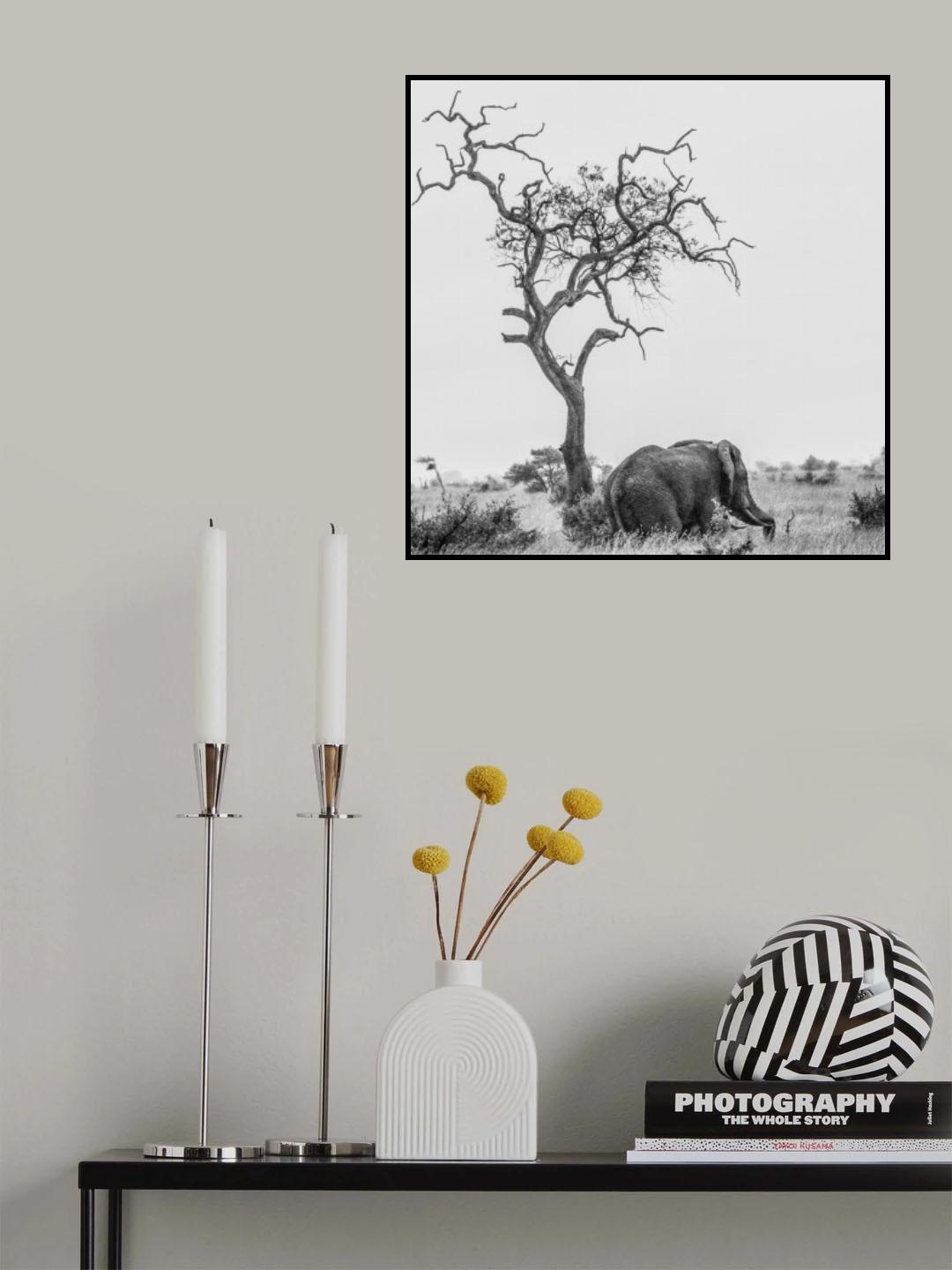 The tree and the elephant Poster och Canvastavla