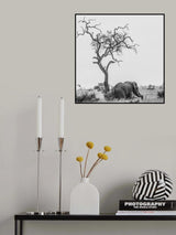 The tree and the elephant Poster och Canvastavla