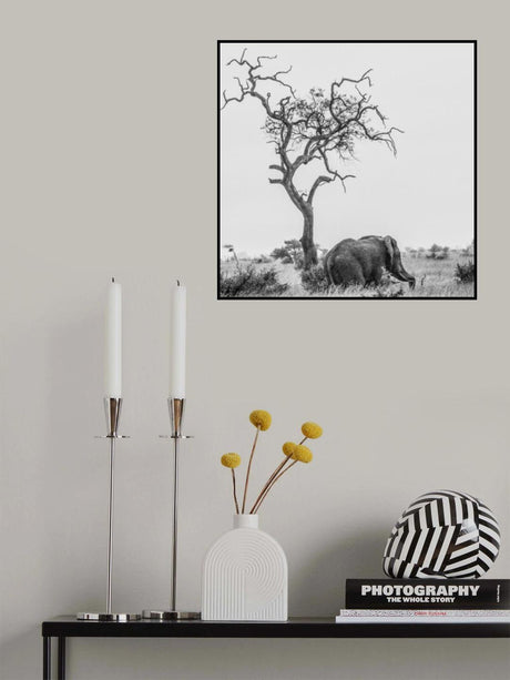 The tree and the elephant Poster och Canvastavla