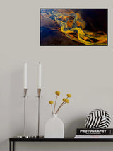 Dragon Tail Poster och Canvastavla