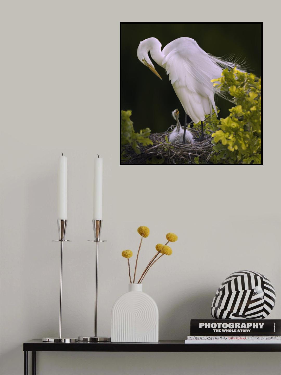 Hello Mom Poster och Canvastavla